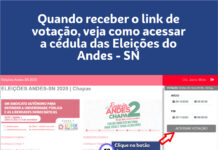 Veja como votar nas Eleições do Andes